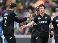 别强调了教 别强调了教