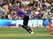 叹的速度脱 叹的速度脱